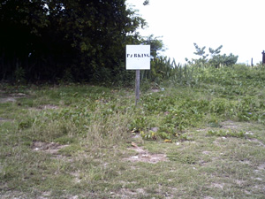 parking insolite