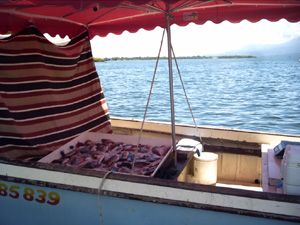 vente de poisson