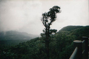 la soufri&egrave;re
